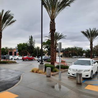 A view of a parking lot lined with palm trees under a cloudy sky.