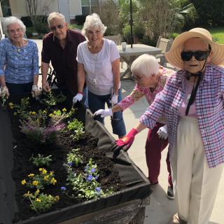 A group of seniors enjoying gardening together outdoors.