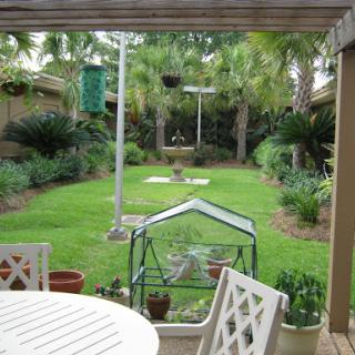 A serene garden view featuring lush greenery and a peaceful atmosphere.