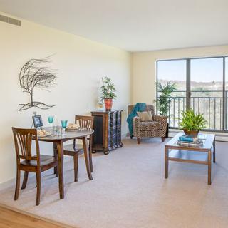 A bright living and dining area featuring modern furniture, decorative wall art, and indoor plants with large windows allowing natural light.