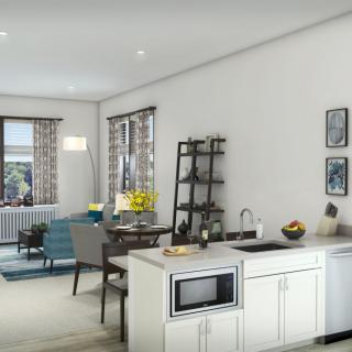 Modern open-concept living room and kitchen with contemporary furniture and natural lighting.