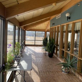 A sunlit indoor corridor featuring several potted plants and large windows.