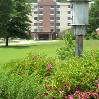 A serene garden with colorful flowers and a birdhouse in the foreground, with an apartment building in the background.