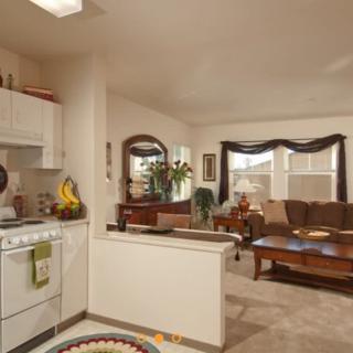 Cozy open floor plan combining a kitchen and living room with warm decor.