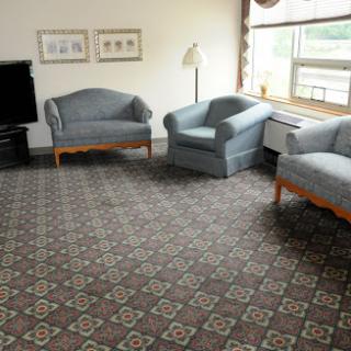 A cozy living room featuring light blue sofas and a patterned carpet.