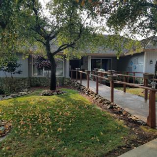 A peaceful residential exterior showcasing a well-maintained garden and a pathway leading to the entrance.
