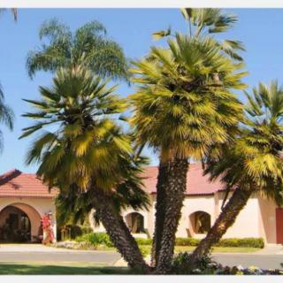 Life Care Center Of Escondido