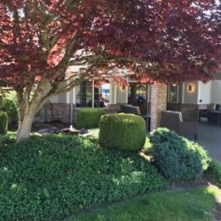 A beautifully landscaped garden with lush greenery and a tree in front of a house.