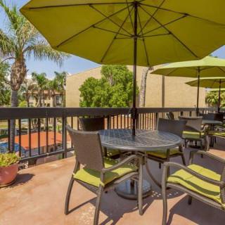 A sunny patio with tables and green umbrellas overlooking palm trees.