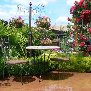 A charming garden patio with a table and two chairs surrounded by lush greenery and blooming roses.