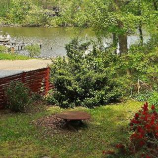 A tranquil garden scene with lush greenery and a serene pond in the background.