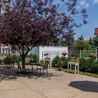 A peaceful outdoor patio area with a tree providing shade, surrounded by garden plants and seating.