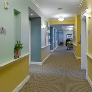 A brightly lit hallway with colorful walls and decorative plants.