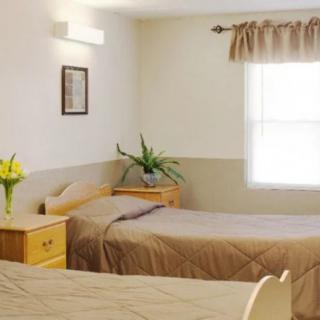 A minimalist bedroom with twin beds, decorated with plants and soft lighting.