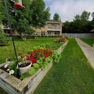 A vibrant garden filled with colorful flowers, creating a serene outdoor space in a residential area.