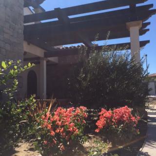 A sunny garden with vibrant flowers and a pergola providing shade.