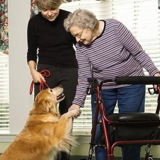 Gentle Care House