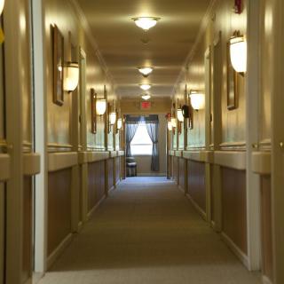 A quiet, well-lit hallway with symmetrical lighting and carpeted flooring.