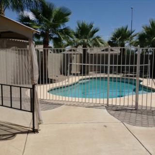 A fenced swimming pool area with palm trees under a clear blue sky.