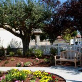 A beautiful garden with a large tree, colorful flowers, and a bench along a paved pathway.