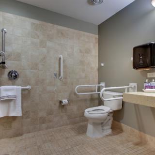 An accessible bathroom equipped with handrails and grab bars.