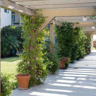 A sunny pergola walkway adorned with lush potted plants.