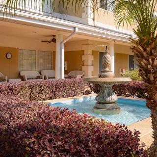 A tranquil patio garden featuring a central fountain surrounded by lush bushes and a palm tree.