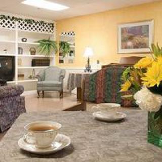 A cozy living room with comfortable seating, floral arrangements, and tea cups on the table.