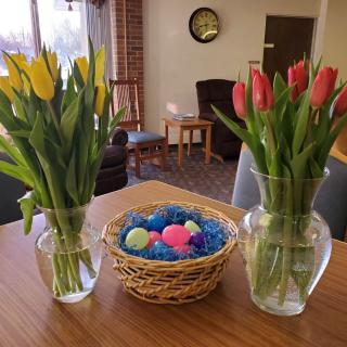 Colorful tulips in vases and a basket of Easter eggs on a table.