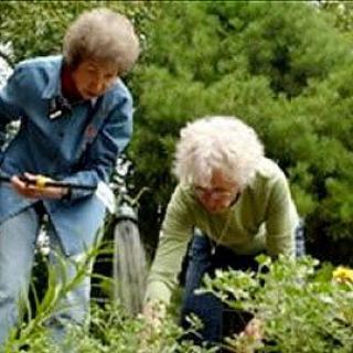 Two people gardening in a lush, green outdoor setting.