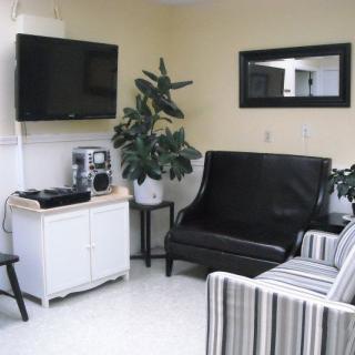 A cozy living room with a black sofa, striped chair, television, and decorative plants.