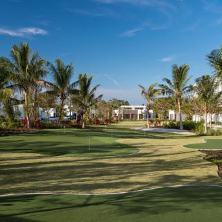 A scenic view of a tropical golf course surrounded by palm trees under a clear blue sky.