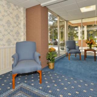A cozy waiting room with blue upholstered chairs, a patterned carpet, and large windows letting in natural light.