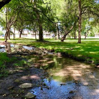 A serene view of a stream flowing through a lush green park surrounded by trees.