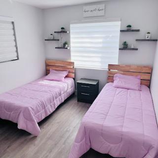 A cozy and minimalist bedroom featuring twin beds with purple bedding and stylish shelves.