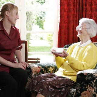 A caregiver and an elderly person sharing a pleasant conversation in a cozy living room.