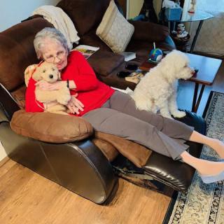 An elderly person relaxing on a couch with two dogs in a cozy living room.