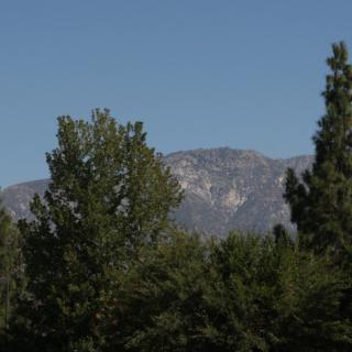 A scenic view of a mountain partially obscured by lush green trees under a clear blue sky.