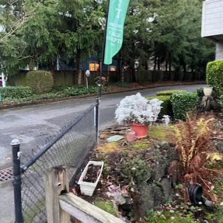 A view of a quiet street with a well-maintained garden and fence.