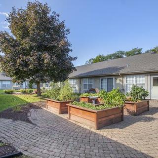 A serene courtyard with raised garden beds and a large tree under a clear blue sky.