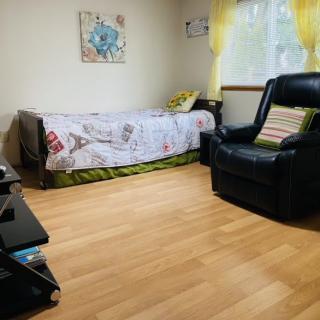 A cozy bedroom with a single bed and armchair beside a sunlit window.