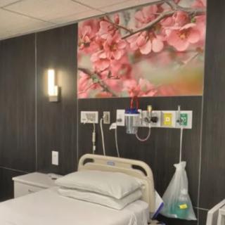 A hospital room featuring a bed, medical equipment, and floral wall decor.