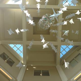 A stunning ceiling art installation featuring suspended white birds, illuminated by natural light.