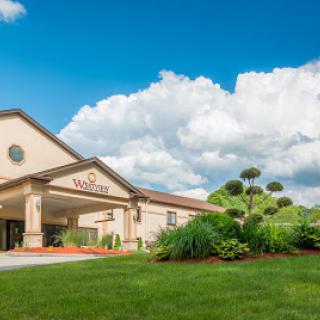 A welcoming hotel entrance surrounded by lush greenery under a bright blue sky.