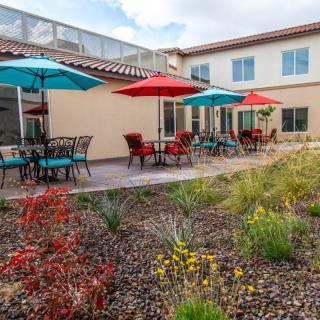 A modern patio with colorful umbrellas and outdoor seating surrounded by a landscaped garden.