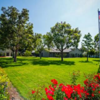 A sunny, well-maintained garden with lush green grass, vibrant red flowers, and tall trees.