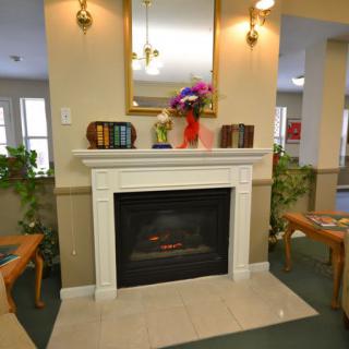 A cozy living room with a fireplace, adorned with plants and vibrant flowers.