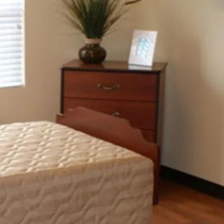 A simple bedroom setup with a bed and a wooden dresser, adorned with a potted plant and natural lighting.