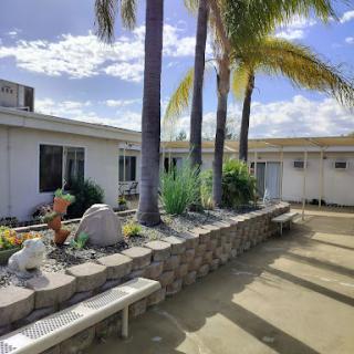 A serene outdoor space featuring palm trees and a landscaped garden.