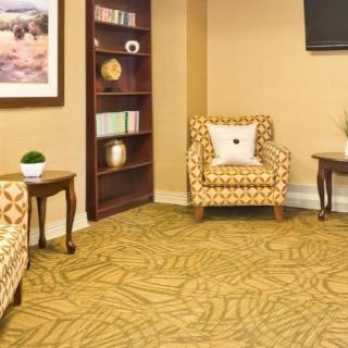 A cozy living room with patterned armchairs, a bookshelf, and decorative plants.